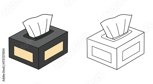 Two isometric depictions of a tissue box one colored and one outline