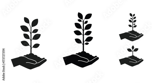 Hands nurturing plant growth a visual representation of care and sustainability