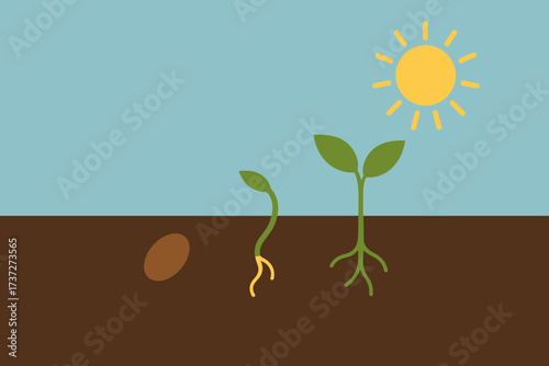 Illustration underground to seed under sunlight plant sprouting becoming vector leaves
