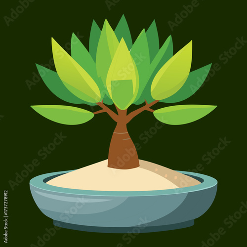 Striking Jade Plant Succulent in Bonsai Form with Thick Fleshy Leaves, a Symbol of Good Luck and Prosperity Vector Art	