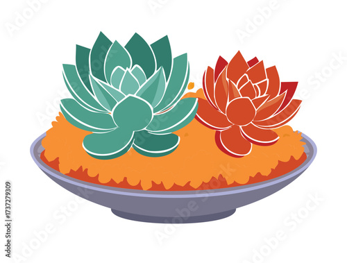 Clean White Background Art of a Succulent Pairing with Orange and Green Echeveria, Perfect for Plant Labels or Tags	