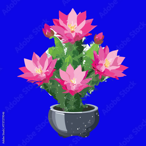 Bild auf Leinwand Striking Contrast of a Blooming Cactus with Bright Pink Flowers Against a Deep E