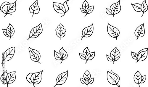 Bundle Minimal Line Icon Of A Leaf Eps 24
