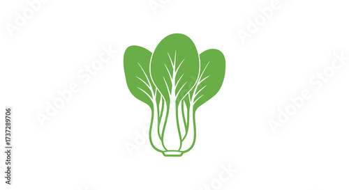 A simple green illustration of fresh bok choy leaves on white