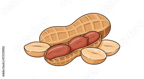 An illustration of a cracked peanut shell revealing the nuts inside