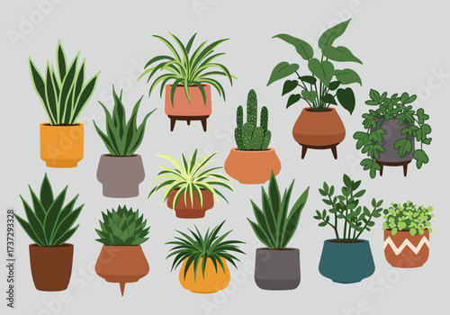 Indoor House Plants 'Urban Jungle' Collection