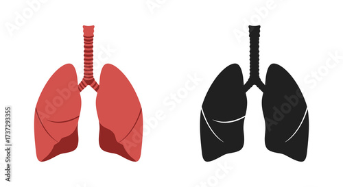 Illustration depicting healthy versus diseased lungs showcasing respiratory system anatomy