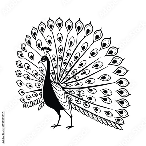 a black and white drawing of a peacock