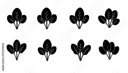 baby spinach icon, baby spinach silhouette vector illustration-simple silhouette illustration of baby spinach, perfect for baby spinach logos and icons