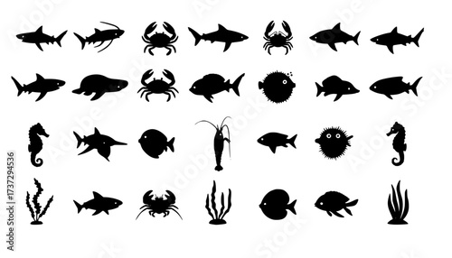 ocean animals and sea life silhouettes icons collection vector black shape
