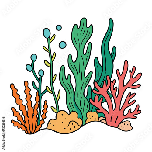 underwater coral reef with sea plants and algae