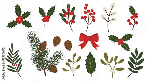 Collection of Festive Christmas Botanical Elements and Red Bow.