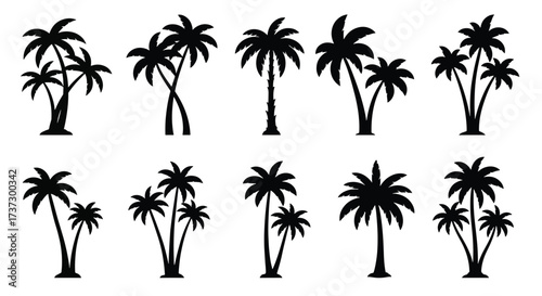 Collection of Silhouetted Palm Trees in Various Arrangements.