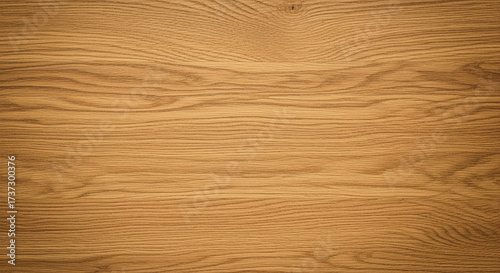 wood texture background texture