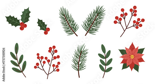 Festive Christmas Botanical Elements Holly Pine Berries and Poinsettia.
