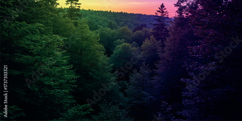 Mystical forest landscape at dusk with colorful gradient sky serene nature photography
