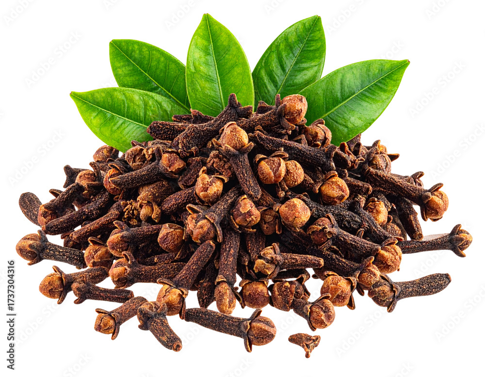 Fototapeta premium Fresh Green Leaves with Rustic Pile of Dried Aromatic Cloves PNG