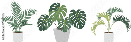 Potted tropical houseplants illustration, monstera, palm, indoor greenery, flat vector, minimalist botanical decor, home plant design, modern art