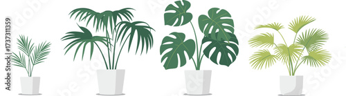 Potted tropical houseplants illustration, monstera, palm, indoor greenery, flat vector, minimalist botanical decor, home plant design, modern art