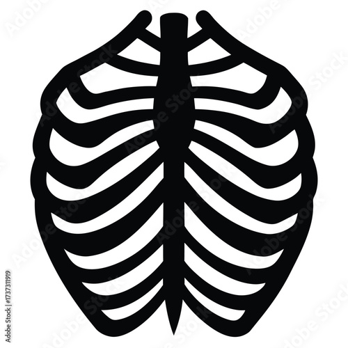 skeleton rib cage silhouette vector illustration