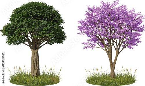 Realistic vector illustration of lush green tree with foliage and blooming purple tree with flowers isolated on white background.