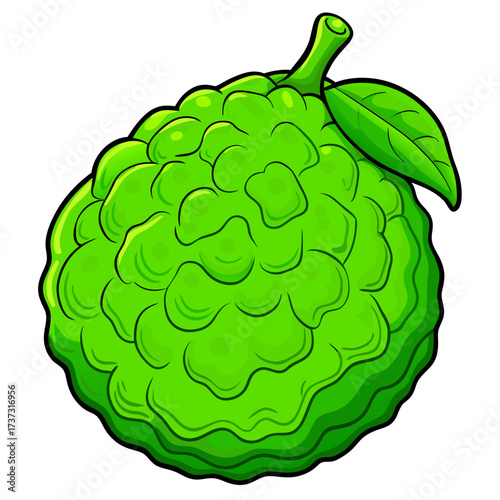 Vibrant green breadfruit illustration evokes tropical freshness, perfect for food blogs, exotic recipe cards, or fun educational material for kids