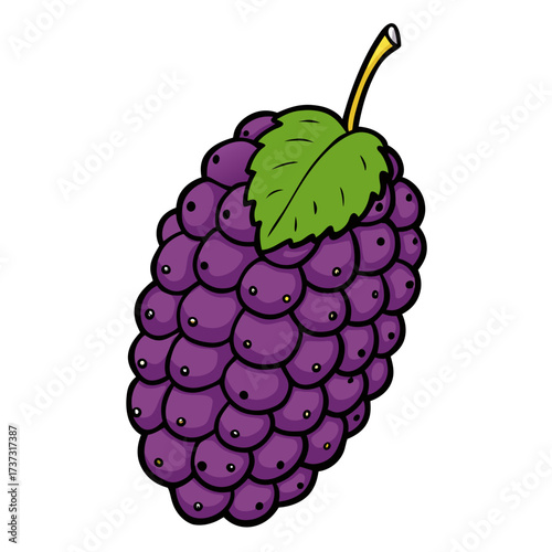 Cartoon grapes ready for healthy snacks and fun designs, featuring ripe purple fruit, perfect for kids menus, educational materials, and vibrant illustrations