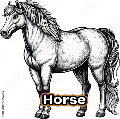 Black mustang horse vector illustration drawing with running stallion silhouette outline