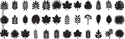 leaf silhouette clipart, nature foliage illustration, botanical leaf vector, autumn leaf shapes, plant silhouette set, black white leaves clipart, printable leaf icons, organic nature design, leaf out