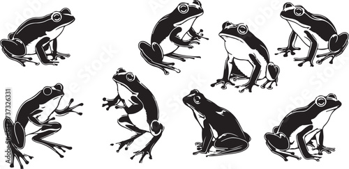 Frog Animal Vector, Amphibian Creature Illustration, Wildlife Nature Design, Jungle Frog Art, Pond Animal Clipart, Green Nature Vector, Tropical Frog Symbol, Cute Amphibian Graphic, Natural Creature S