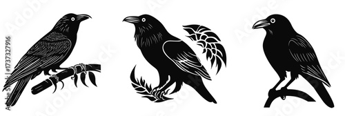 Set of three black raven silhouettes in different poses perched on branches with minimalist flat vector design suitable for tattoo or logo concepts