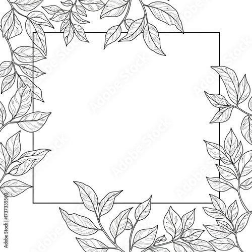 Elegant square frame border decorated with delicate botanical leaf branches for designs silhouette flat design vector illustration white background