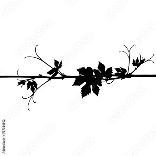 Silhouette of a grapevine stem with leaves and tendrils gracefully extending across a linear element silhouette flat design vector illustration white background