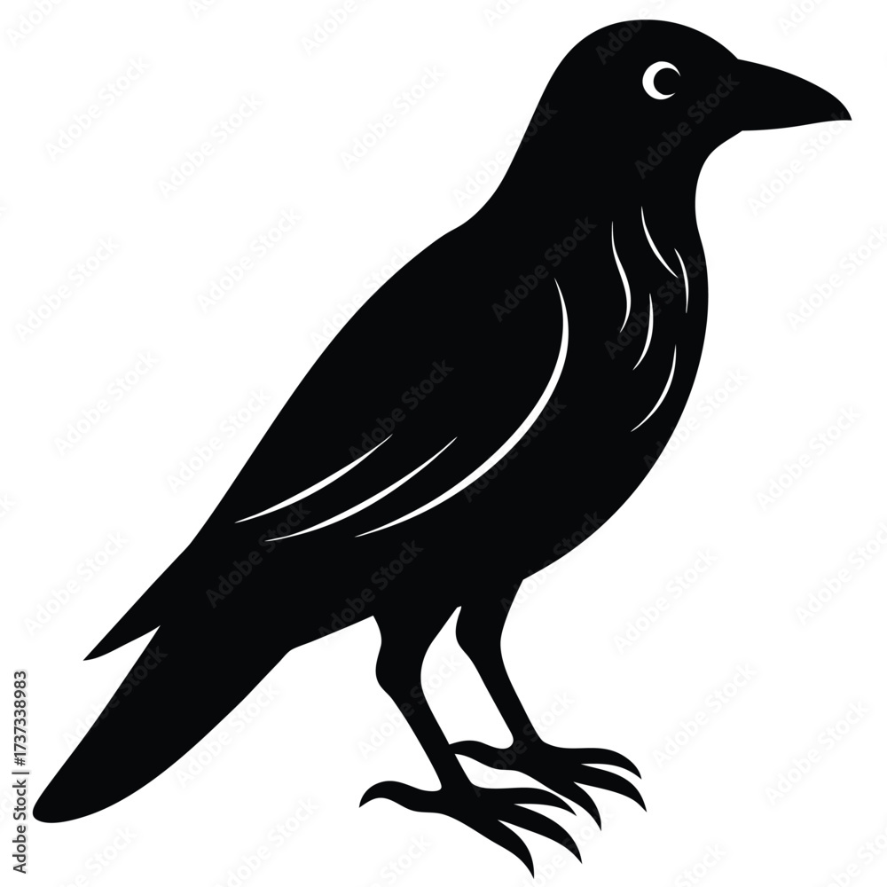 Fototapeta premium raven shadow silhouette vector illustration