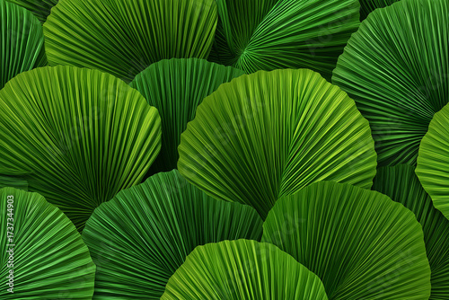 green leaf background