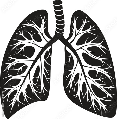 Lungs vector silhouettes