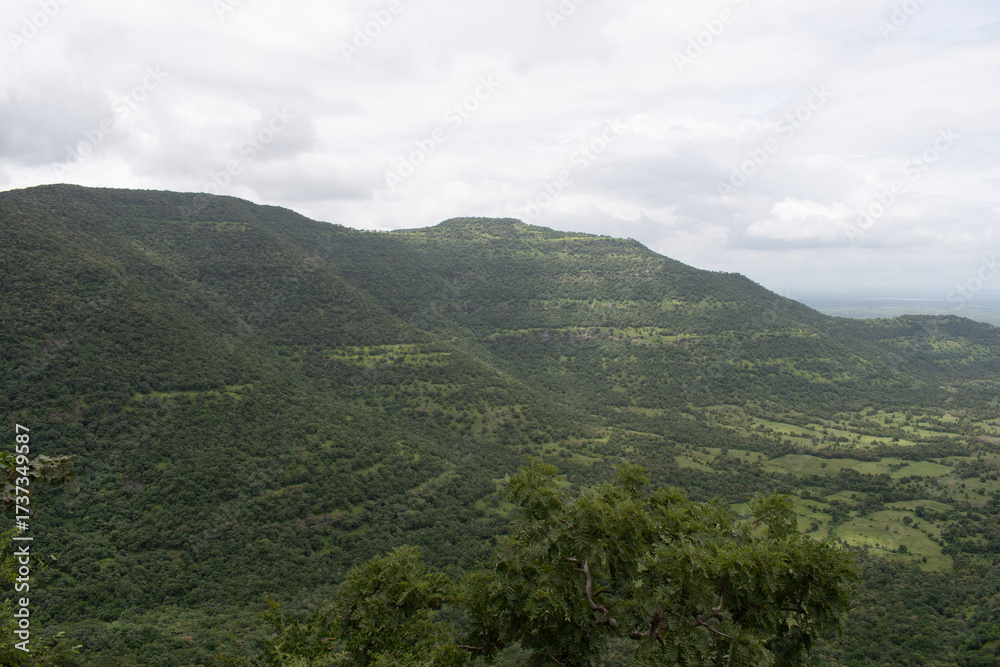 Fototapeta premium lush green valley seen from the elevated plateau at 'gautala autramghat sanctuary' under cloudy sky
