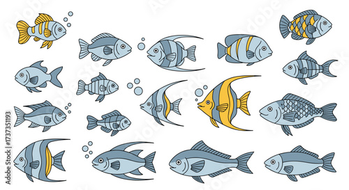 A collection of various colorful and detailed aquatic fish species swimming in clear blue water.
