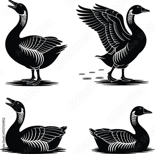 Geese silhouette vector, black and white cad drawing, flat wildlife illustration, honking goose, walking bird, waterfowl clipart, nature pose