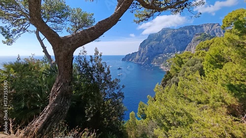 Capri island coastline with cliffs, blue sea and yachts framed by Mediterranean trees, Italy