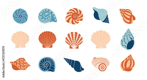 A collection of various colorful seashells and spiral shells in different sizes and patterns.