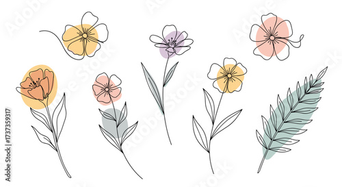 A collection of delicate line art floral illustrations with subtle watercolor accents.