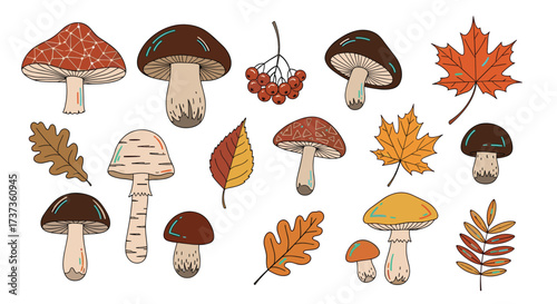 A charming collection of assorted autumn mushrooms and colorful fallen leaves in a whimsical illustration.