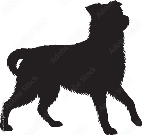 Silhouette of dog,dog walking silhouette,sitting dog