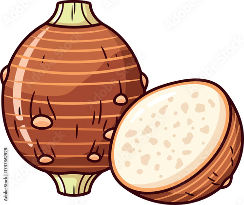 Taro root illustration healthy tropical root vegetable vector