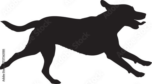 Silhouette of dog,dog walking silhouette,sitting dog