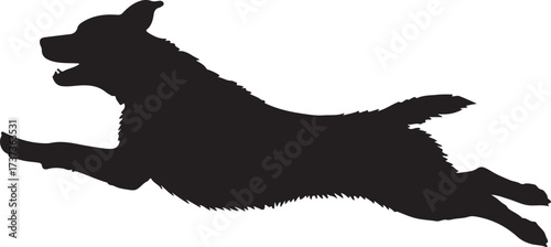 Silhouette of dog,dog walking silhouette,sitting dog