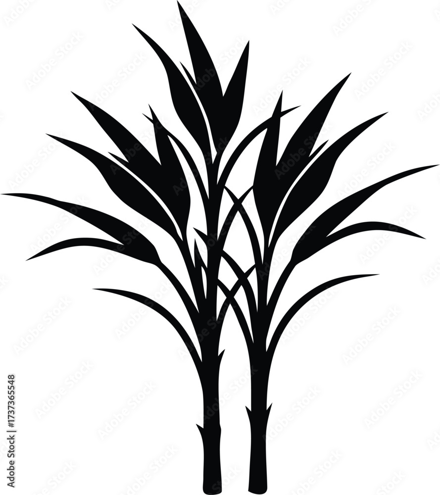 Fototapeta premium Sugarcane silhouette vector illustration with detailed stalks and leaves