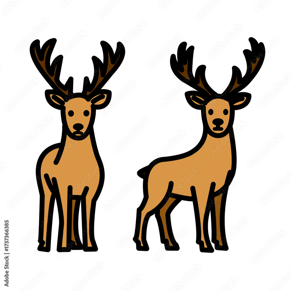 Fototapeta premium Pair Of Standing Deer With Large Antlers
