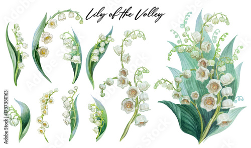 Clipart of Lily of the valley hand drawn watercolor isolated on white background